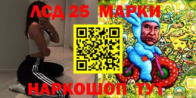 PSILOCYBIN Кулебаки