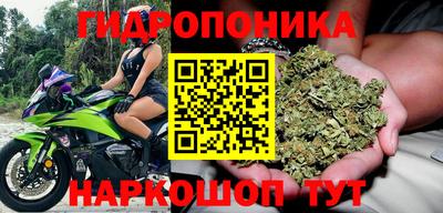 PSILOCYBIN Кулебаки