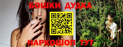 PSILOCYBIN Кулебаки