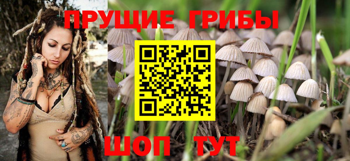 Галлюциногенные грибы мухоморы  закладки  Вольск  Вход с VPN 