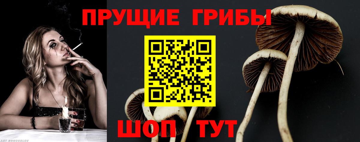 Галлюциногенные грибы мицелий Вольск